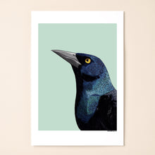 Load image into Gallery viewer, Common Grackle