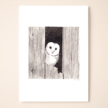 Load image into Gallery viewer, Barn Owl