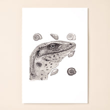 Load image into Gallery viewer, Tegu