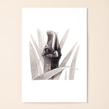 Load image into Gallery viewer, Cassowary