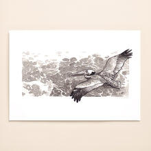 Load image into Gallery viewer, Pelican