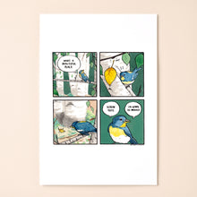 Load image into Gallery viewer, Seyalata americana