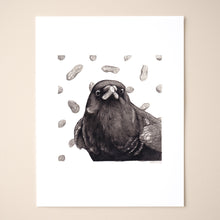 Load image into Gallery viewer, Crow