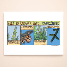 Load image into Gallery viewer, Get to know Black Spruce