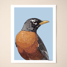 Load image into Gallery viewer, American Robin