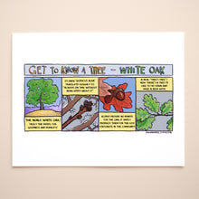 Load image into Gallery viewer, Get to know White Oak