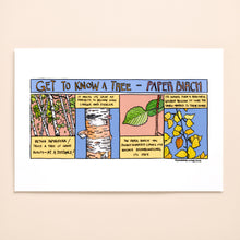 Load image into Gallery viewer, Get to know Paper Birch