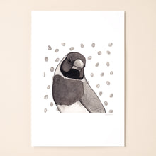 Load image into Gallery viewer, Gouldian Finch
