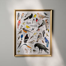 Load image into Gallery viewer, A Few Birds Of Canada

