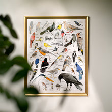 Load image into Gallery viewer, A Few Birds Of Canada
