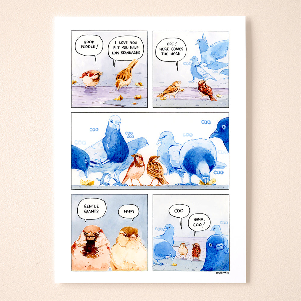 Coo coo – False Knees Store