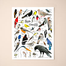 Load image into Gallery viewer, A Few Birds Of Canada

