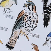 Load image into Gallery viewer, A Few Birds Of Canada
