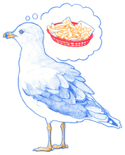 Load image into Gallery viewer, Gull Sticker

