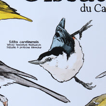 Load image into Gallery viewer, A Few Birds Of Canada
