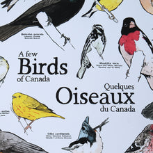 Load image into Gallery viewer, A Few Birds Of Canada
