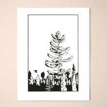 Load image into Gallery viewer, Morning Pine
