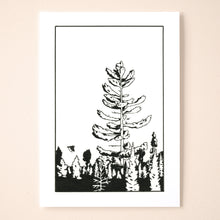 Load image into Gallery viewer, Morning Pine
