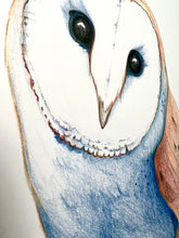 Load image into Gallery viewer, Barn Owl in Pencil
