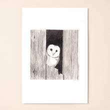 Load image into Gallery viewer, Barn Owl

