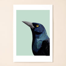 Load image into Gallery viewer, Common Grackle
