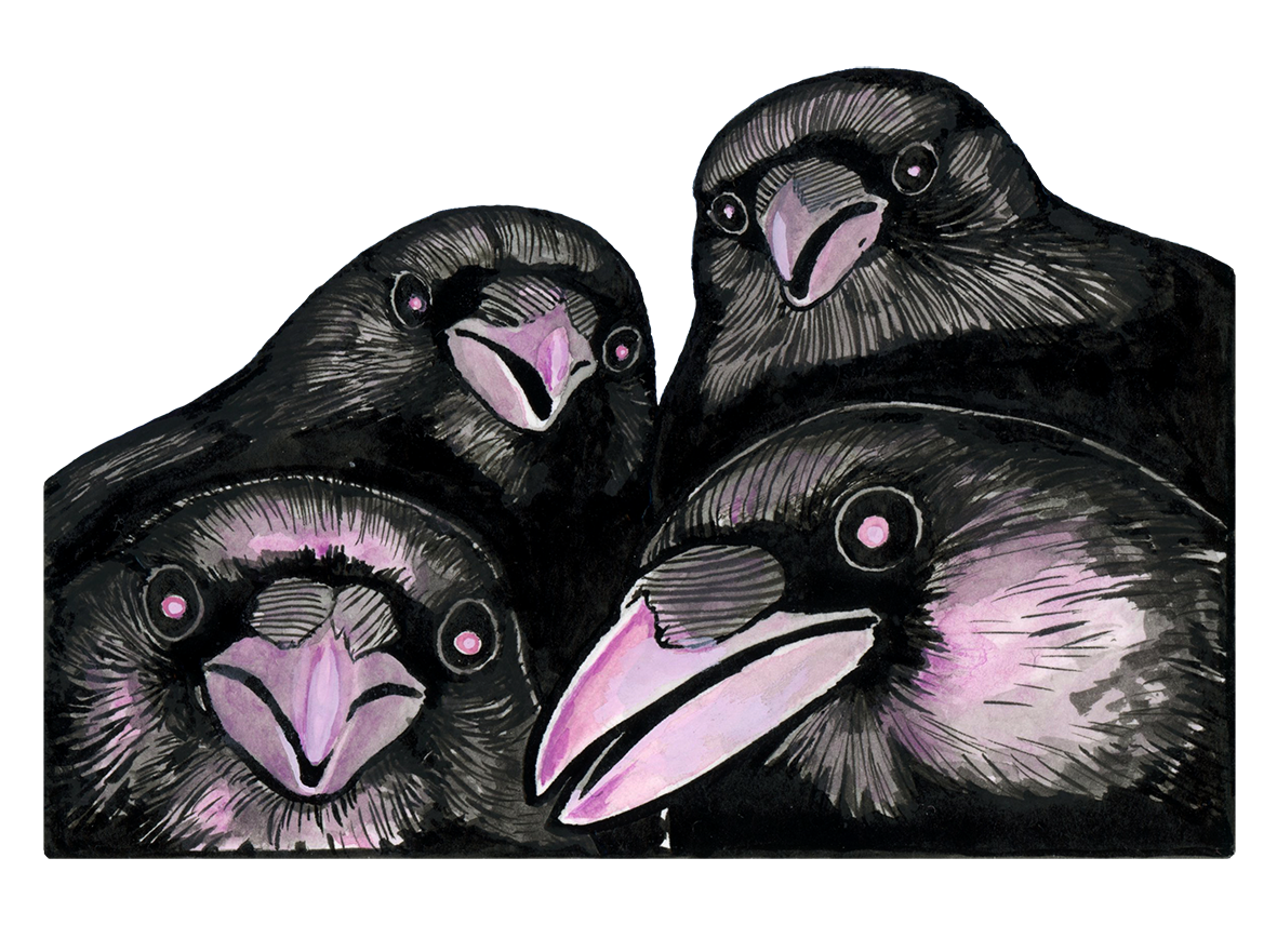 Enchanted Crows Sticker